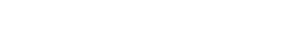 ONH Systems